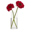 FLORERO VIDRIO CHIPINQUE D9xH25CM - Jarrones, Uruguay | Decohogar, vista 1 de 3