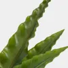 Planta artificial Neottopteris con maceta blanca 70 cm en Blanco - Macetas, Uruguay | Kavehome, vista 4 de 5