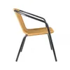 Silla exterior de metal y Rattan con apoyabrazos - Beige en Beige - Muebles para el exterior, Uruguay | Rústico Hogar, vista 4 de 4