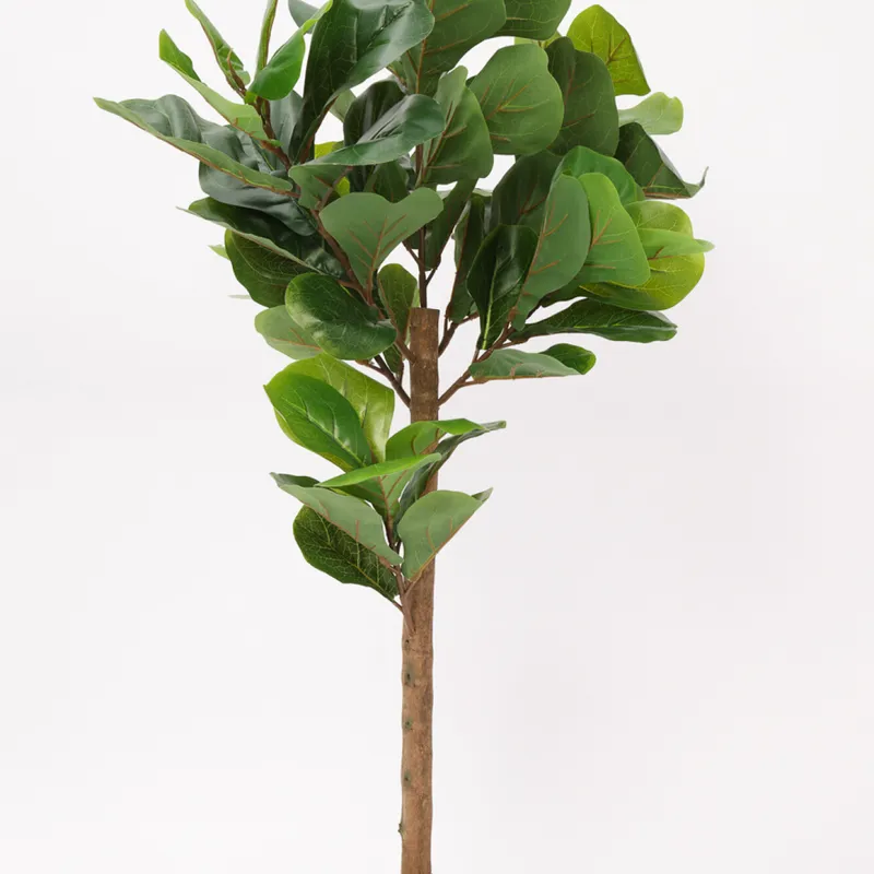 Planta Ficus Lira 110cm - Color Unico en Multicolor - Muebles para el exterior, Uruguay | Indian