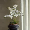 Maceta Orquídea blanca - Decoración, Uruguay | Martinika Deco, vista 5 de 6