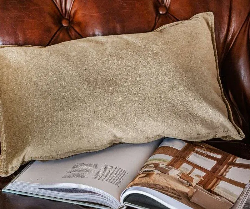 ALMOHADON TERCIOPELO OLIVA - 50 X 30 CMS en Verde oliva - Textiles, Uruguay | La Iberica