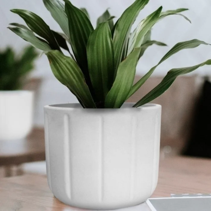 MACETA SPELLO PILASTRI BLANCA 15X15CM en Blanco - Macetas, Uruguay | Decohogar, vista 3