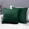 ALMOHADON VELVET 40x40CM VERDE ESMERALDA en Verde - Textiles, Uruguay | Decohogar, vista 3 de 3