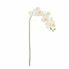 Tallo Orquídea blanco - Decoración, Uruguay | Martinika Deco, vista 4 de 12