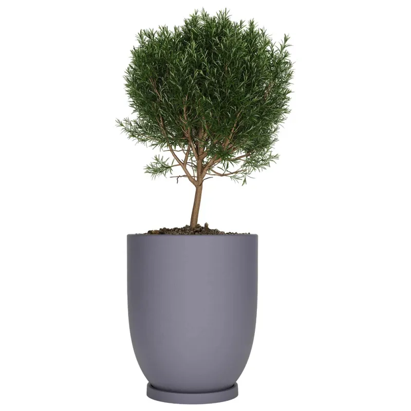 Macetero Copa 40 Gris c/ Plato Alto 40cm x 47cm Diam Boca, 25lts en Gris - Macetas, Uruguay | Champagne Home