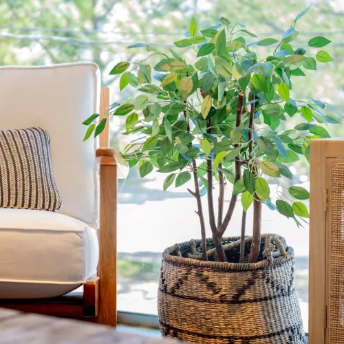 Árbol ficus artificial, s - Macetas, Uruguay | Soho Deco