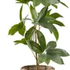 Maceta TERJE Ø25xA23cm natural en Madera natural - Macetas, Uruguay | JYSK, vista 1 de 3