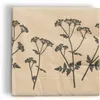 Servilletas papel PHILIP 24x24cm 20 uds en Beige - Velas y Portavelas, Uruguay | JYSK, vista 1 de 3