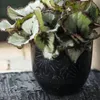 Macetero Mystic en Negro - Canastos, Uruguay | Walnut, vista 1 de 2