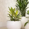 MACETA 27X24CM FLORENCA SISAL BLANCA en Blanco - Macetas, Uruguay | Decohogar, vista 3 de 4
