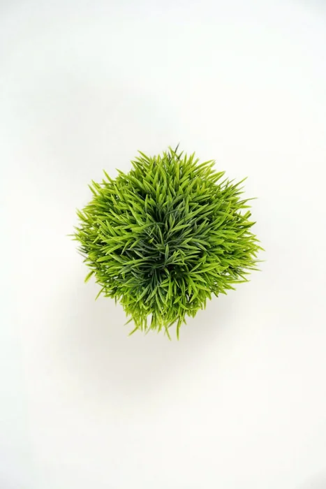 Planta Suculenta Artificial - Color Unico en Multicolor - Decoración, Uruguay | Indian, vista 3