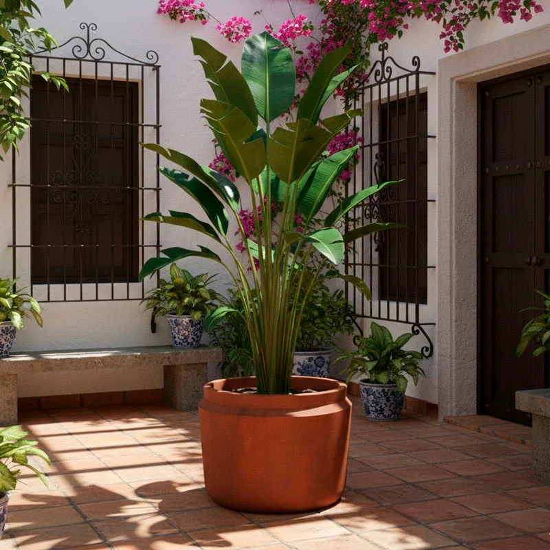 Maceta Cairo Grande en Negro - Macetas, Uruguay | Alta Gracia Deco, vista 3