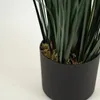 Planta Grass Violet 95cm - Color Unico en Multicolor - Muebles para el exterior, Uruguay | Indian, vista 3 de 4
