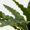 Planta artificial Neottopteris con maceta blanca 70 cm en Blanco - Macetas, Uruguay | Kavehome, vista 2 de 5