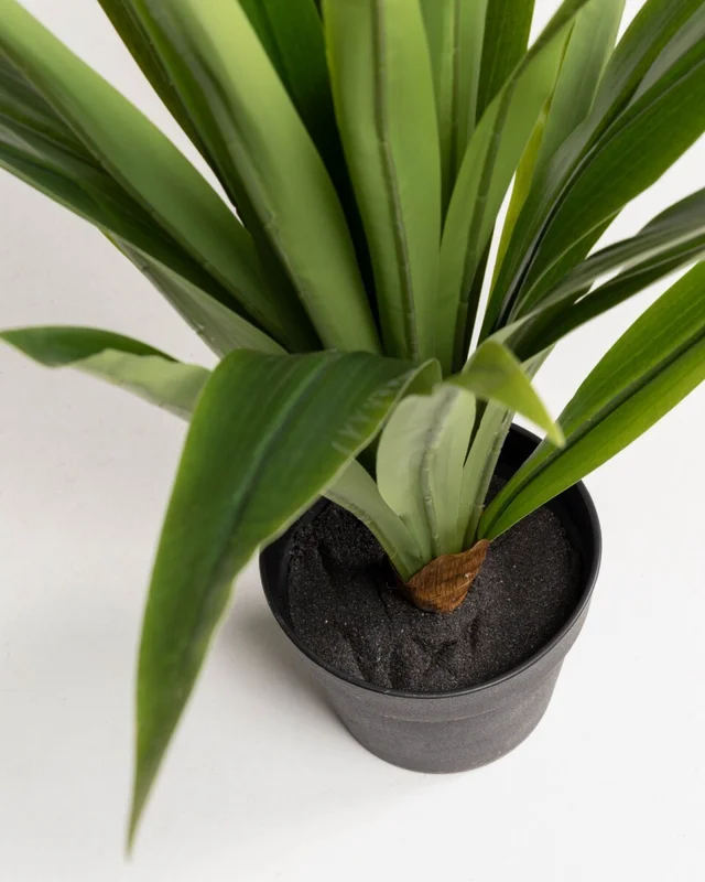 Planta artificial Yucca con maceta negro 80 cm en Verde - Macetas, Uruguay | Kavehome, vista 3
