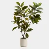 Árbol artificial Magnolia con maceta blanca 160 cm en Multicolor - Macetas, Uruguay | Kavehome, vista 1 de 5