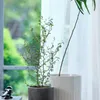 Maceta KNUDSEN Ø20xA18cm blanco en Blanco - Macetas, Uruguay | JYSK, vista 4 de 5