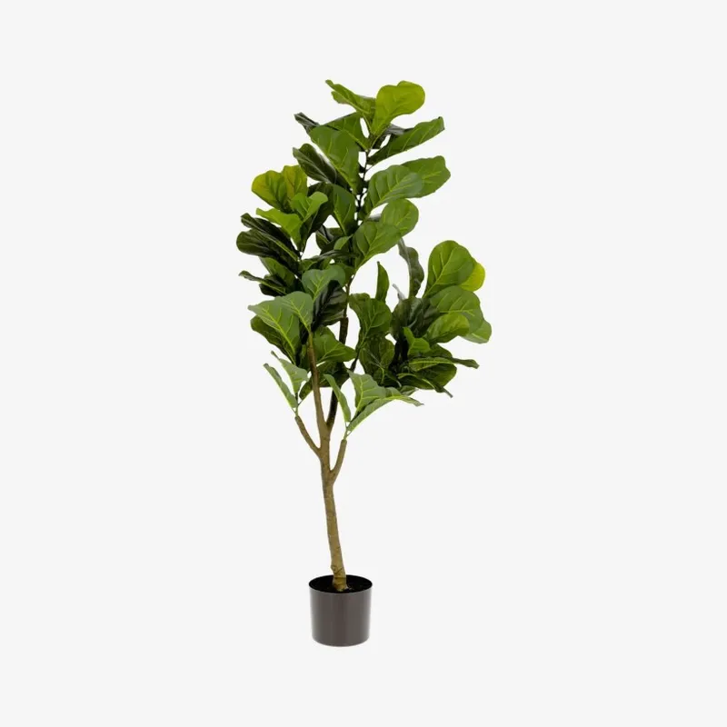 Planta artificial Ficus con maceta negro 150 cm en Verde - Macetas, Uruguay | Kavehome