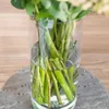FLORERO CILINDRO - ALTURA 26 CMS - Jarrones, Uruguay | La Iberica, vista 2 de 3
