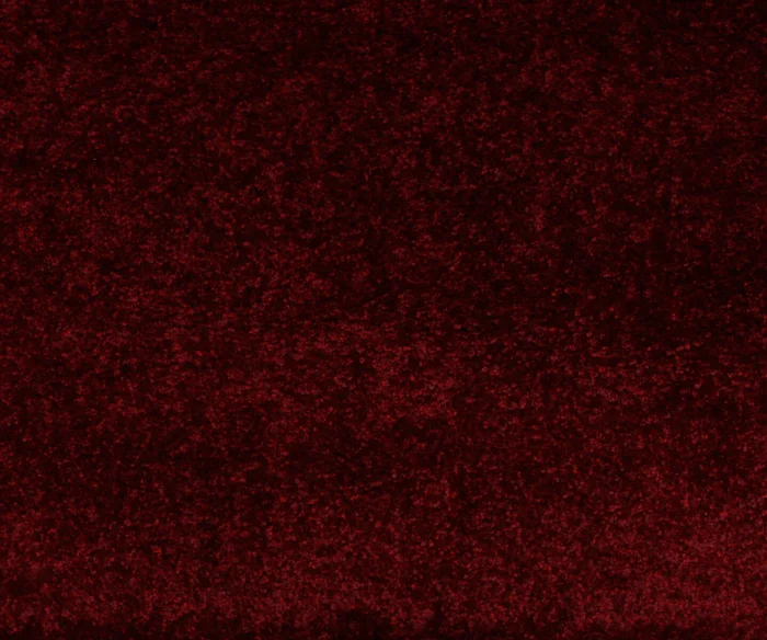 ALFOMBRAS SUPER SOFTNESS SSF/2144/F670/ 200X290 CLARET en Rojo - Alfombras, Uruguay | Vinibel, vista 2