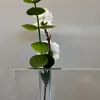 FLORERO - Jarrones, Uruguay | Vivai, vista 6 de 7