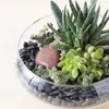CENTRO DE MESA GRANDE D23/H9.0CM SELECTA - Jarrones, Uruguay | Decohogar, vista 3 de 5