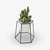MACETA CERAMICA HEXA C/BASE D17x20CM BLANCO/NEGRO en Multicolor - Macetas, Uruguay | Koz, vista 4 de 4