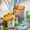 Vela No.6 Sequoia - Velas y Portavelas, Uruguay | Martinika Deco, vista 5 de 10