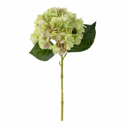 Tallo Hortensia verde - Decoración, Uruguay | Martinika Deco