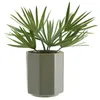 Maceta LUCAS Ø14xH16cm verde oscuro en Verde - Macetas, Uruguay | JYSK, vista 4 de 4