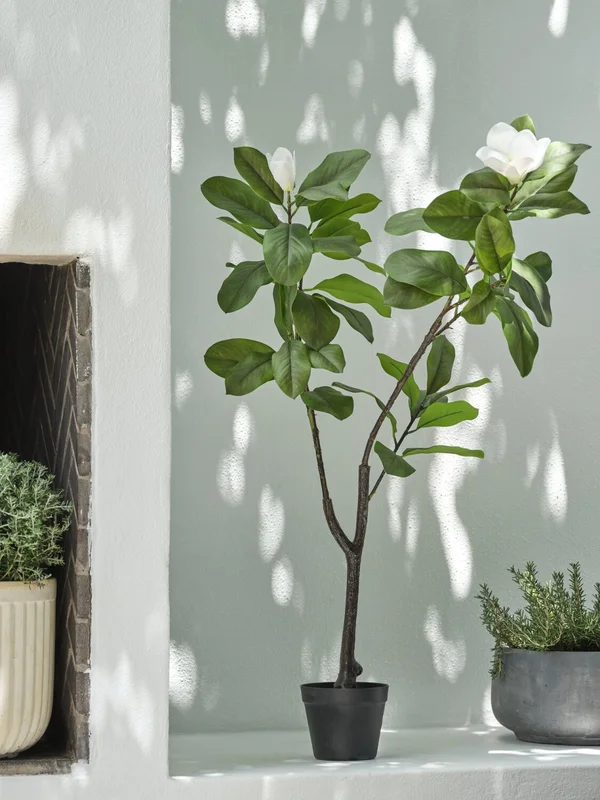 Planta artificial SPINDEL A120cm magnolia en Verde - Muebles para el exterior, Uruguay | JYSK, vista 4