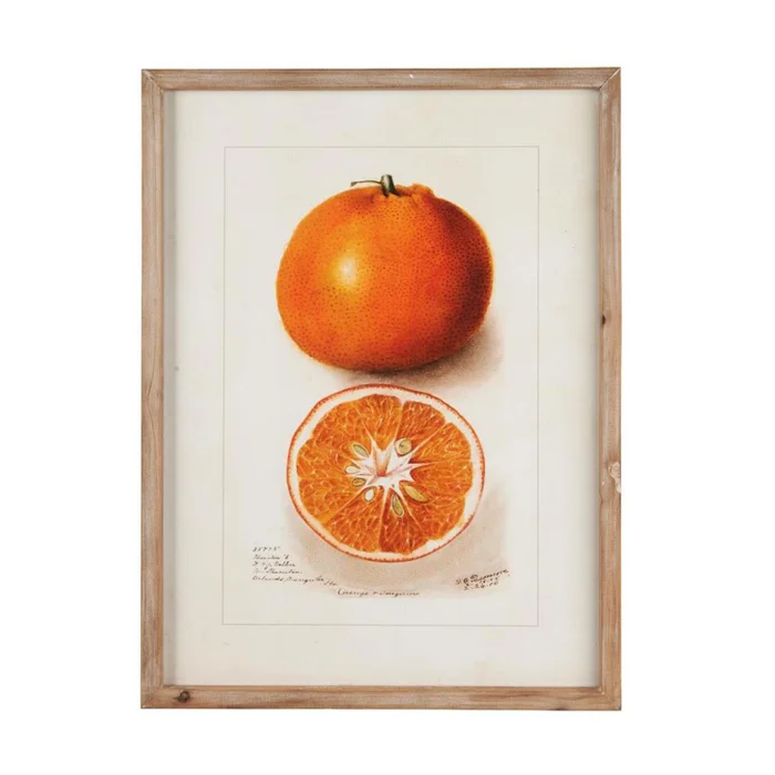Cuadro Citric - Mandarine en Naranja - Decoración de pared, Uruguay | Walnut, vista 2