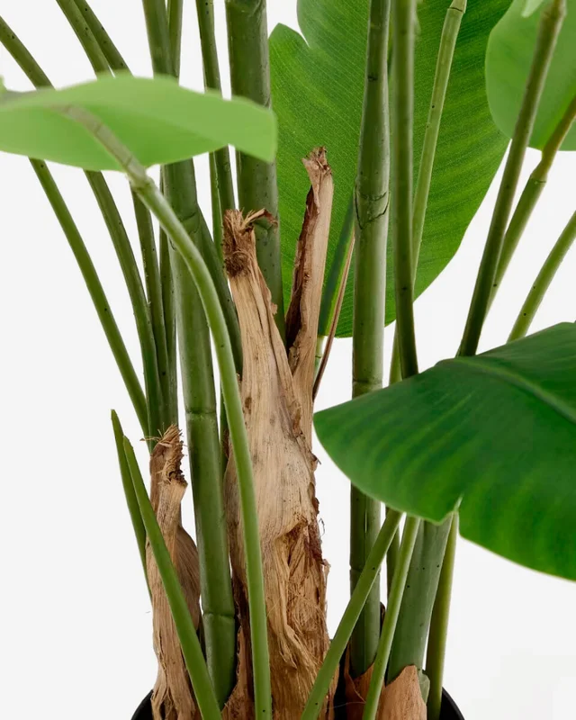 Planta artificial Banano con maceta negra 210 cm en Negro - Macetas, Uruguay | Kavehome, vista 3