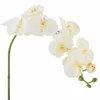 Tallo Orquídea blanco - Decoración, Uruguay | Martinika Deco, vista 11 de 12