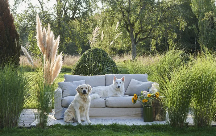 SOFA BISCARROSSE LINO FRANCES 206CM BEIGE en Beige - Sillones y sofás, Uruguay | Más Infinito Casa, vista 4