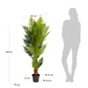 Planta artificial Palmera de helecho con maceta negro 150 cm en Verde - Macetas, Uruguay | Kavehome, vista 3 de 3