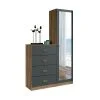 Comoda 4 Cajones 1 Puerta Con Espejo Cajonera Dormitorio Grafito en Gris - Cómodas, Uruguay | Soy Hogar, vista 2