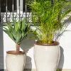 Ernest Creamy White - Macetas, Uruguay | Balcony, vista 5 de 7