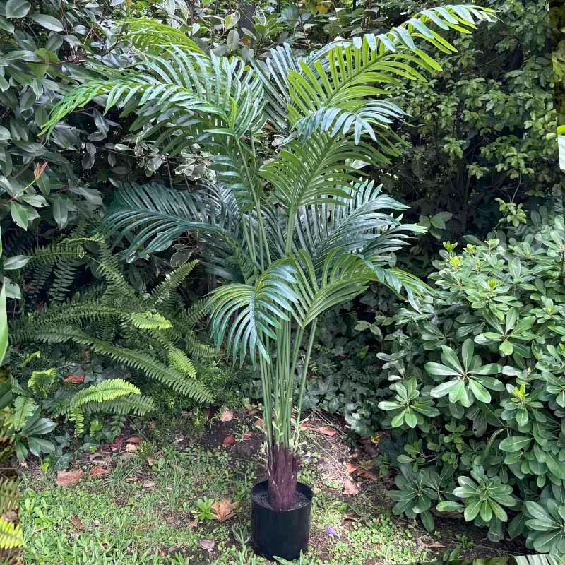 Planta Areca Artificial 160cm en Negro - Macetas, Uruguay | Alta Gracia Deco, vista 7