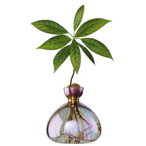 FLORERO - Jarrones, Uruguay | Vivai