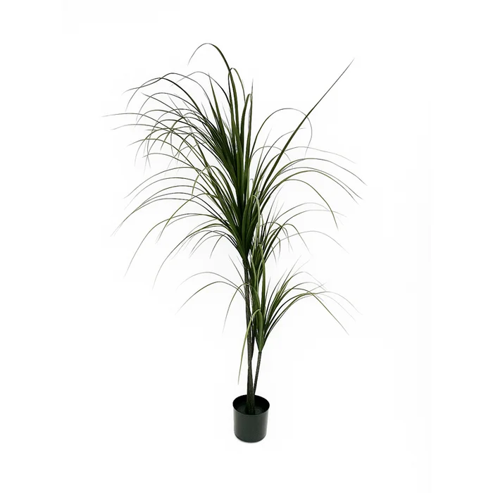 Planta Dracaena artificial 150cm en Negro - Macetas, Uruguay | Alta Gracia Deco