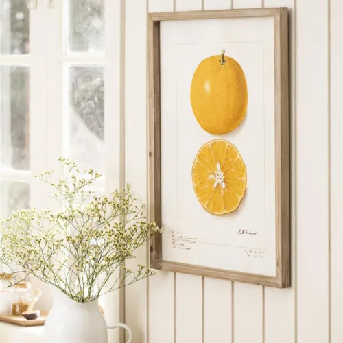 Cuadro Citric - Orange en Blanco, Naranja, Natural - Decoración de pared, Uruguay | Walnut