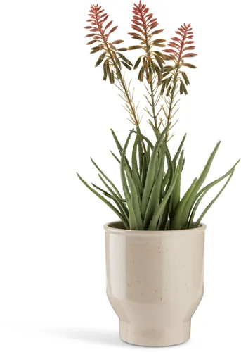 Maceta ADAM	Ø15xA17cm beige en Beige - Macetas, Uruguay | JYSK