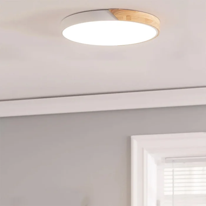 Panel LED Redondo Cerchio Blanco 18W ø 30 cm en Rosa - Lámparas colgantes, Uruguay | Serlux, vista 2