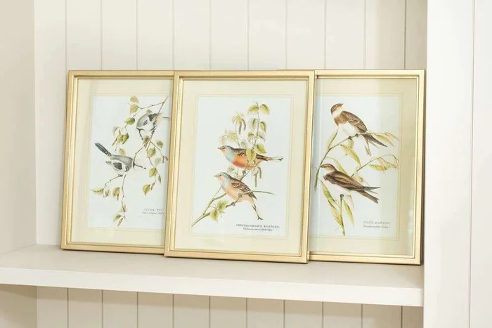 CUADRO BIRDS 3 - MARCO GOLD - 45 X 35 CMS en Dorado - Decoración de pared, Uruguay | La Iberica, vista 2