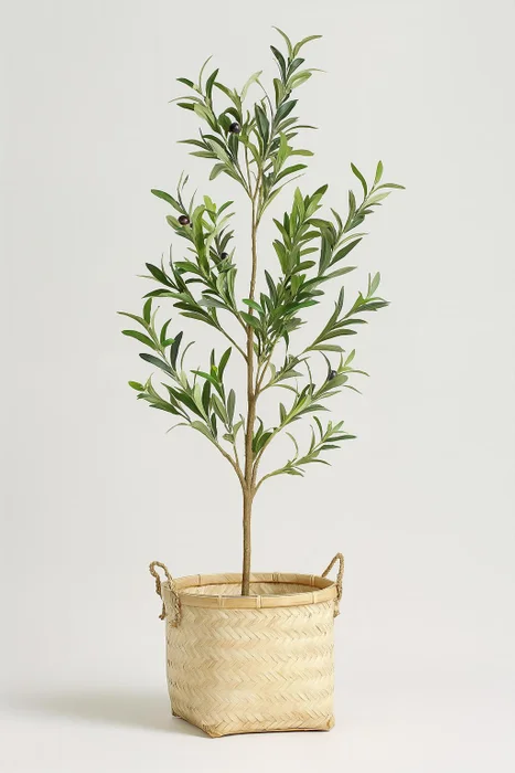 Olivo en Negro - Decoración, Uruguay | Indrana