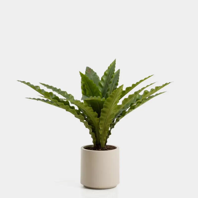 Planta artificial Neottopteris con maceta blanca 70 cm en Blanco - Macetas, Uruguay | Kavehome