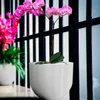 MACETA SPELLO ONDULATO BLANCA 15X15CM en Blanco - Macetas, Uruguay | Decohogar, vista 3 de 4