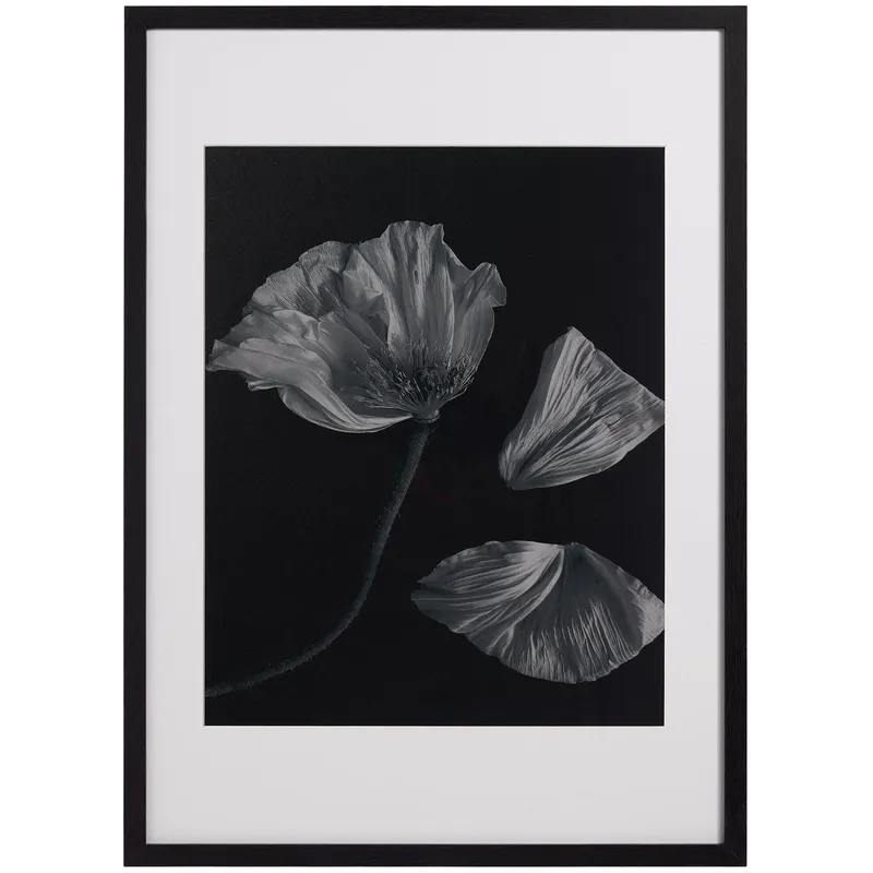 Flora 2 - Decoración, Uruguay | BoConcept